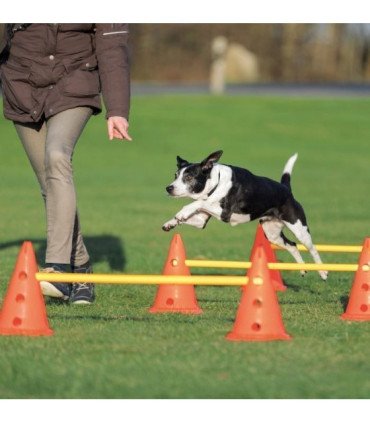 Obstáculos flexibles para perros de todos tamaños