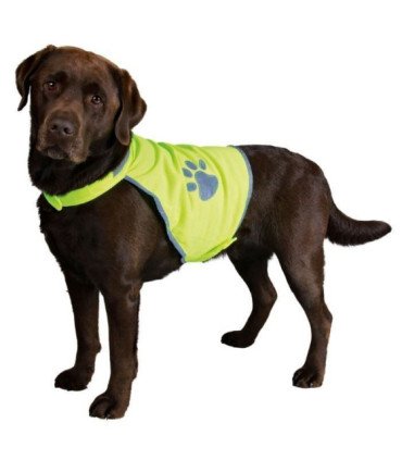 Chaleco de Seguridad