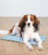 Alfombrilla refrescante para el bienestar animal