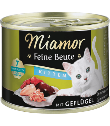 Alimento natural para gatitos jóvenes