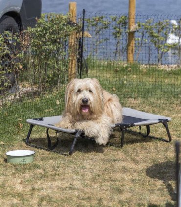 Tumbona camping para perros en color resistente