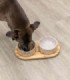 Set de comederos en cerámica y bambú para mascotas