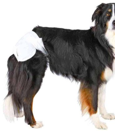 Pañales para Hembras