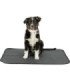 Pañal Higiénico Nappy Wash para perros