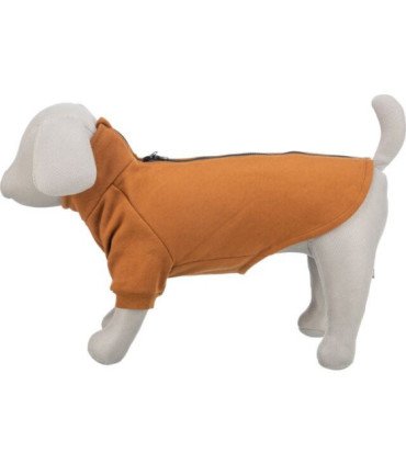 Sudadera CityStyle Amsterdam