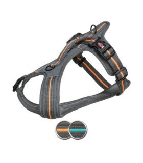 Arnés Fusion Confort en colores y tallas variadas