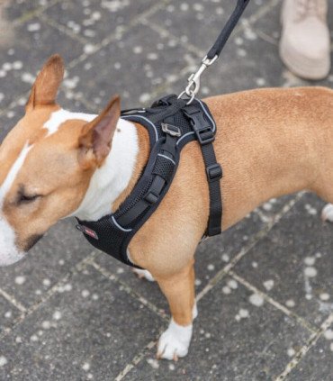 Premium FlexMesh Arnes Petrol