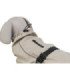 Chaqueta impermeable para perros Husum beige