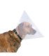 Collar veterinario ajustable y transparente