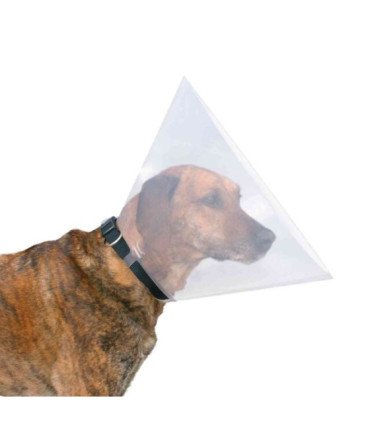 Collar veterinario ajustable y transparente