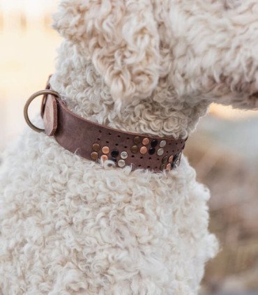 Rustic Collar con remaches