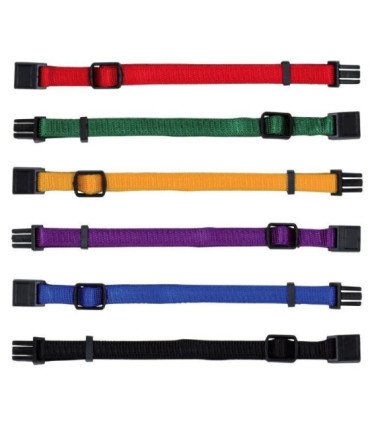 Set de Collar Cachorros