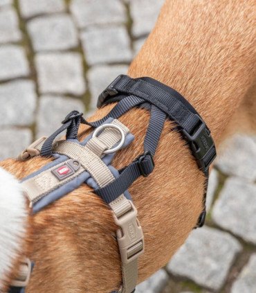 Adaptador antipánico Stay para arneses