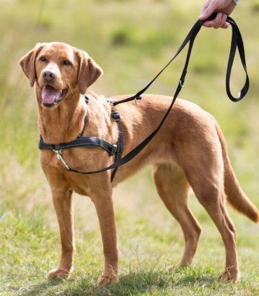 Arnés Guía Lead'n'Walk Soft