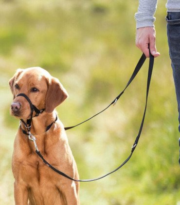 Arnés Guía Top Trainer