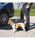 Arnés para mascotas, ajustable y acolchado