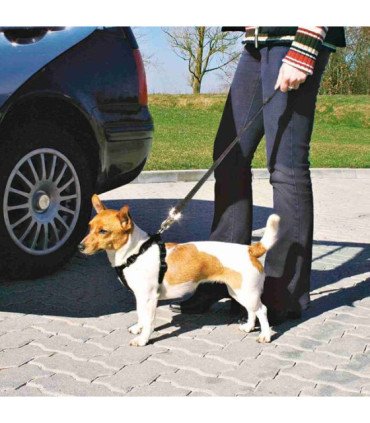 Arnés para mascotas, ajustable y acolchado