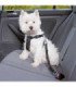 Arnés para mascotas, ajustable y acolchado