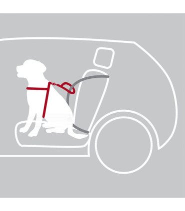 Arnés para Coche Dog Comfort