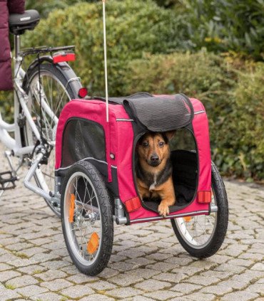 Tráiler para Bicicleta