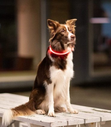 Collar de Aro Flash USB