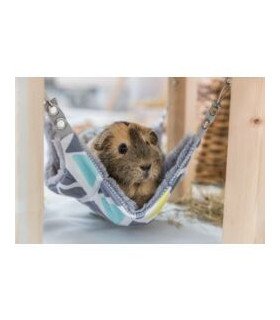 Refugio con hamaca Sunny