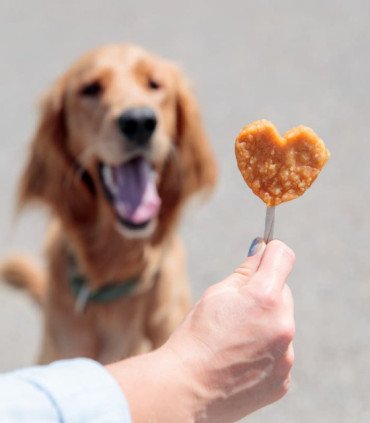 Lolly con pollo y arroz