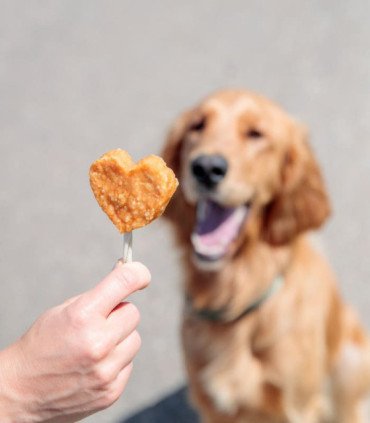 Lolly con pollo y arroz