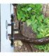 Sistema de Rociadores Reptile Rain, ideal para acuarios