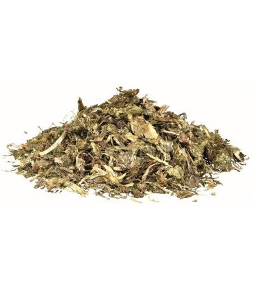 Pastos y hierbas para tortugas terrestres, 300g