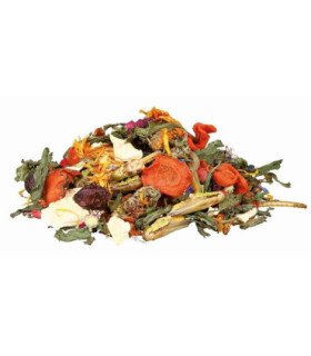 mezcla de pienso natural para reptiles,100g