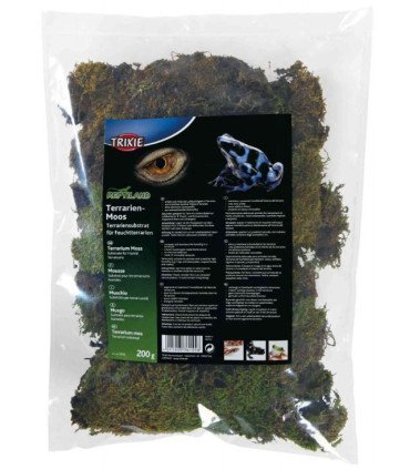 Musgo para Terrario