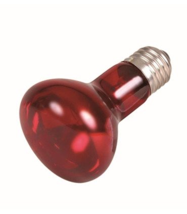 lampara infraroja - 75 W: ø 63/100 mm