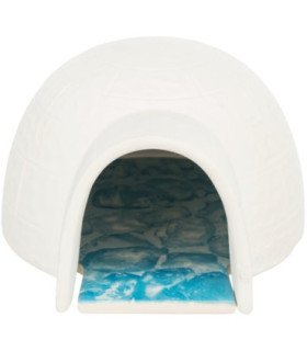 Iglú con placa de refrigeración