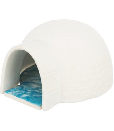 Iglú con placa de refrigeración