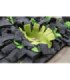 Alfombra para Olfatear con borlas y bandeja extraíble