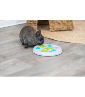 Juego de Estrategia Slide Fun Board