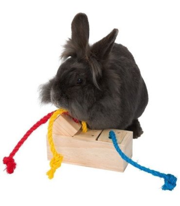 Cubo de premios en madera para mascotas