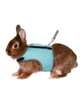 Arnés Suave con Correa