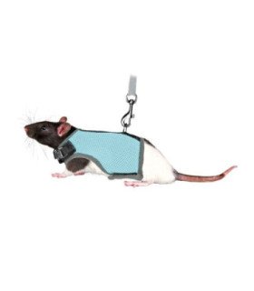 Arnés ajustable y cómodo para ratas
