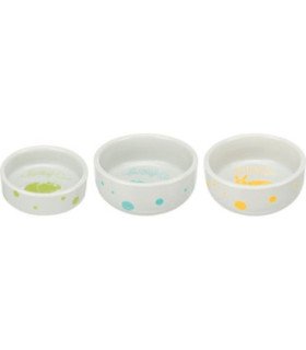 Comedero de cerámica con colores variados