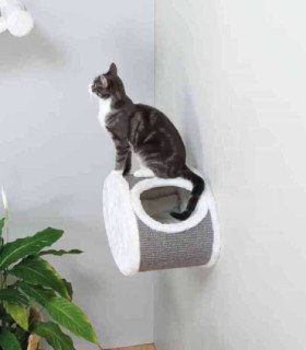 Cueva Sujeción a la Pared