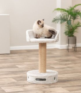 Poste Rascador Dalia