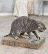 Juguete rascador de cartón para gatos