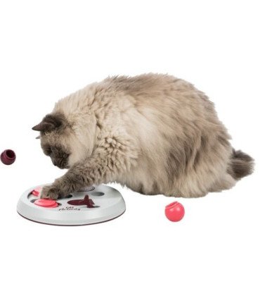 Flip Board CAT ACTIVITY