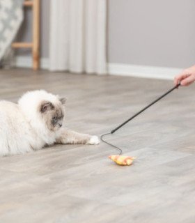 Varita de Juego con Pescado