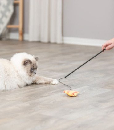 Varita de juego con pez y catnip para mascotas