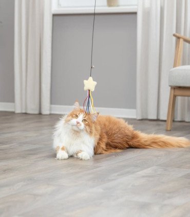 Varita de entretenimiento para gatos con estrella