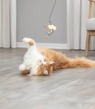 Varita de entretenimiento para gatos con estrella