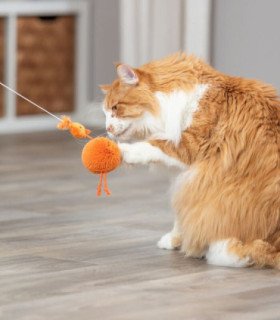 Pollo con Cinta Elástica